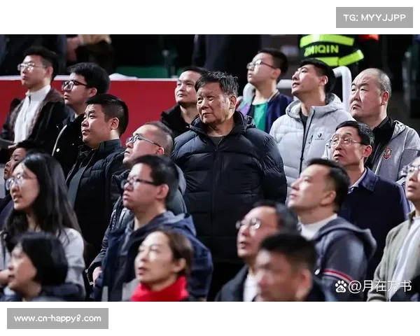 球迷冲突事件视频显示看台有人从高处坠落，安全措施受质疑